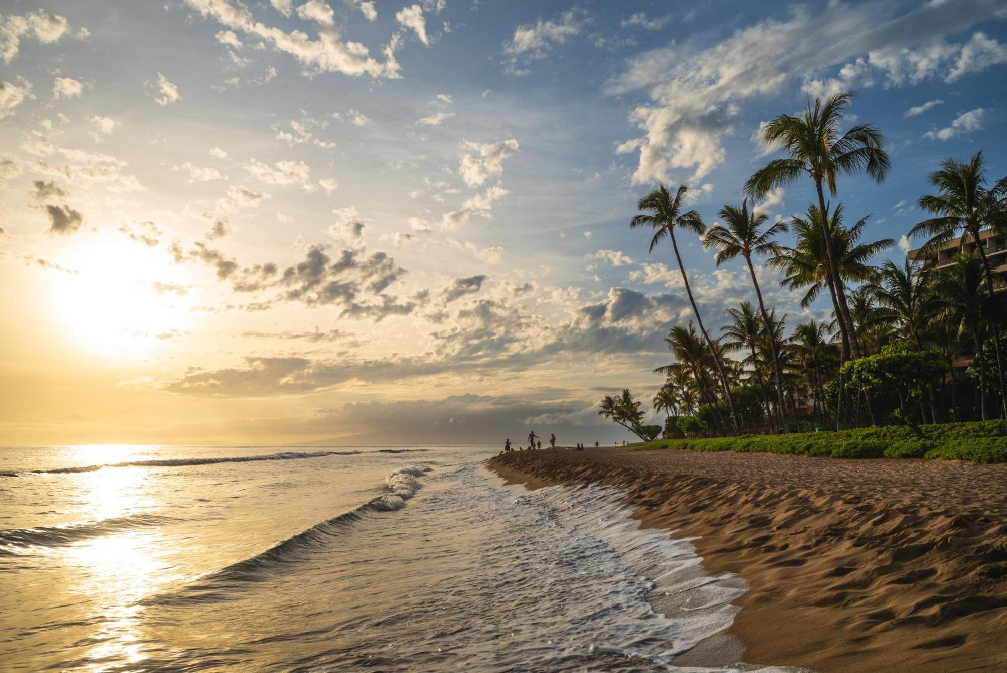 Luxurious Oceanfront Retreat At Kaanapali Alii Experience Aloha In Every Moment * Lahaina