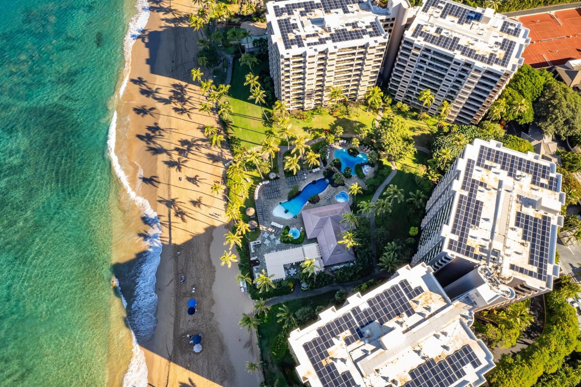 Luxurious Oceanfront Retreat At Kaanapali Alii Experience Aloha In Every Moment Holiday home *