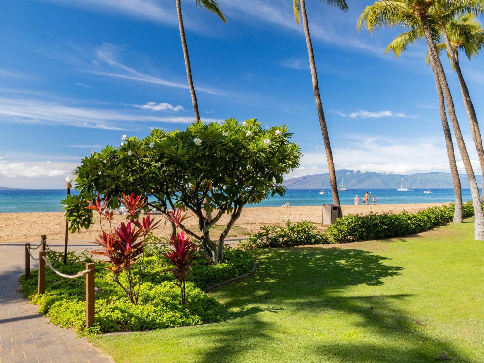 Luxurious Oceanfront Retreat At Kaanapali Alii Experience Aloha In Every Moment Lahaina