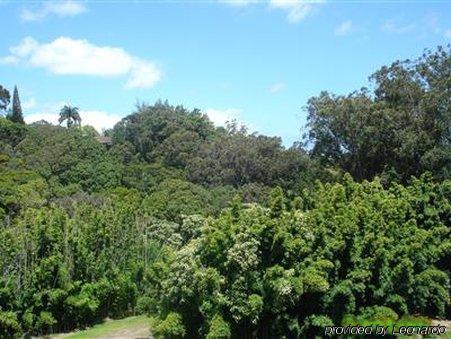 Bed & Breakfast Bamboo Valley Haiku-Pauwela