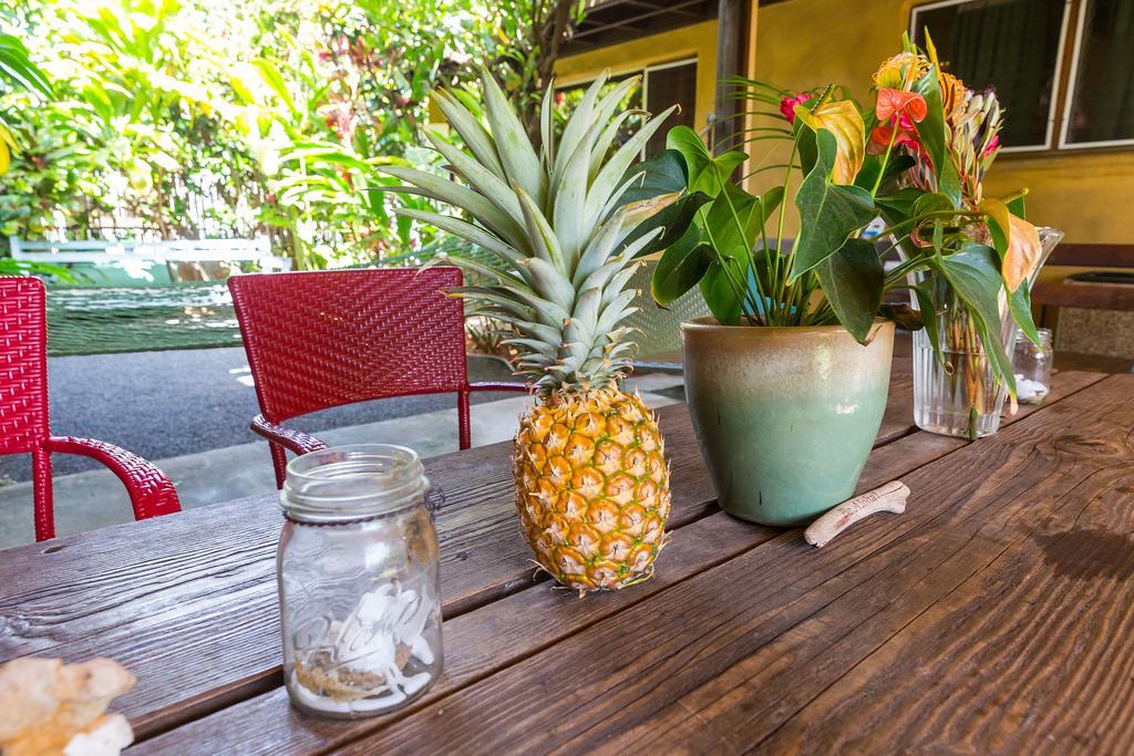 Nalu Kai Lodge Paia