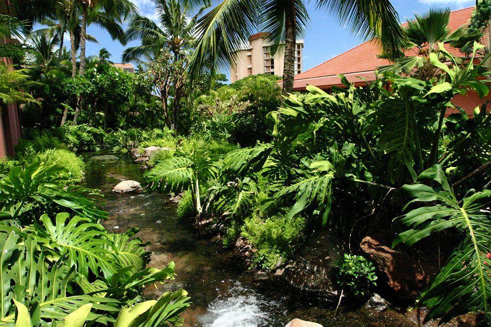 Kahana Falls 3*