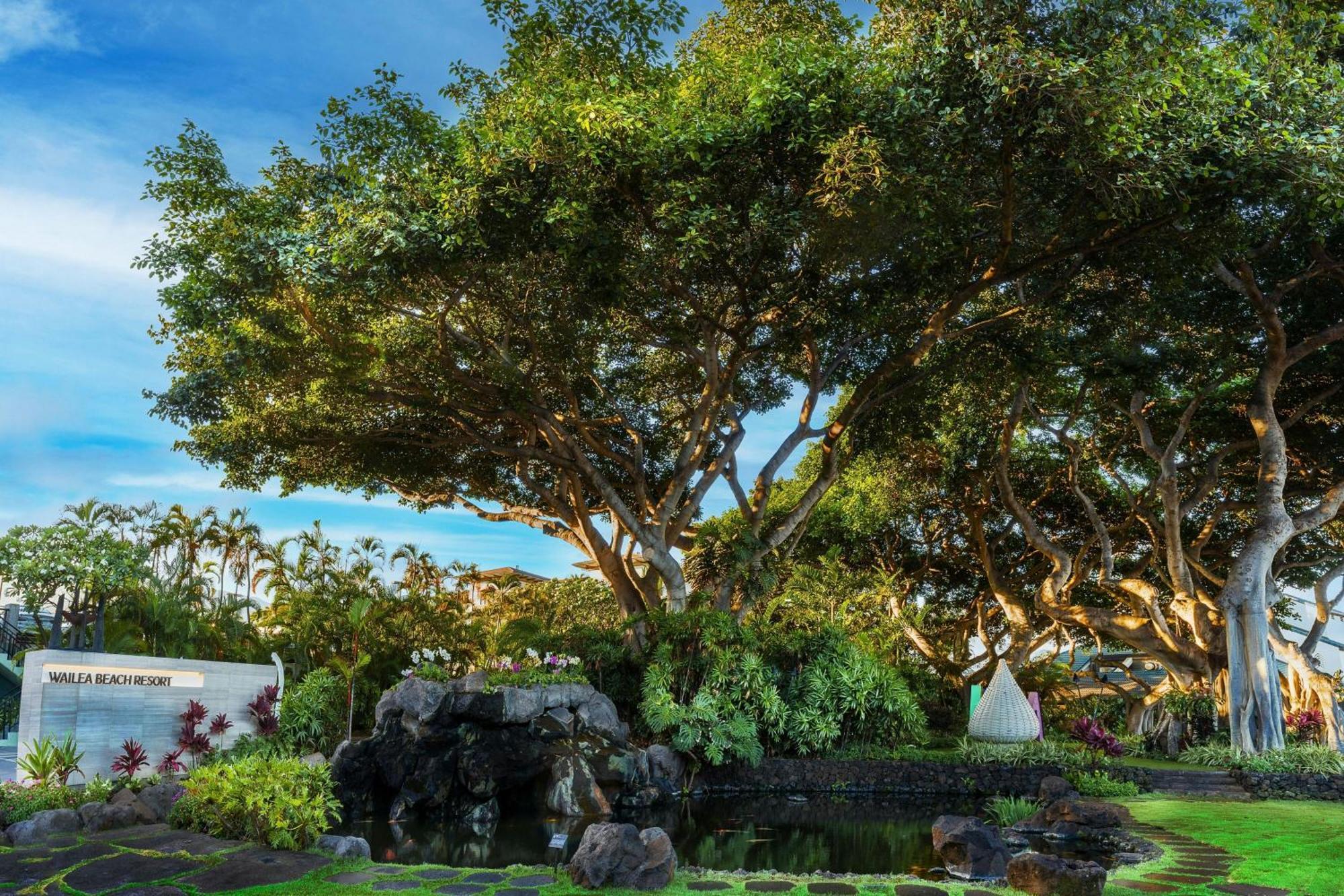 Wailea - Marriott, Maui 5*