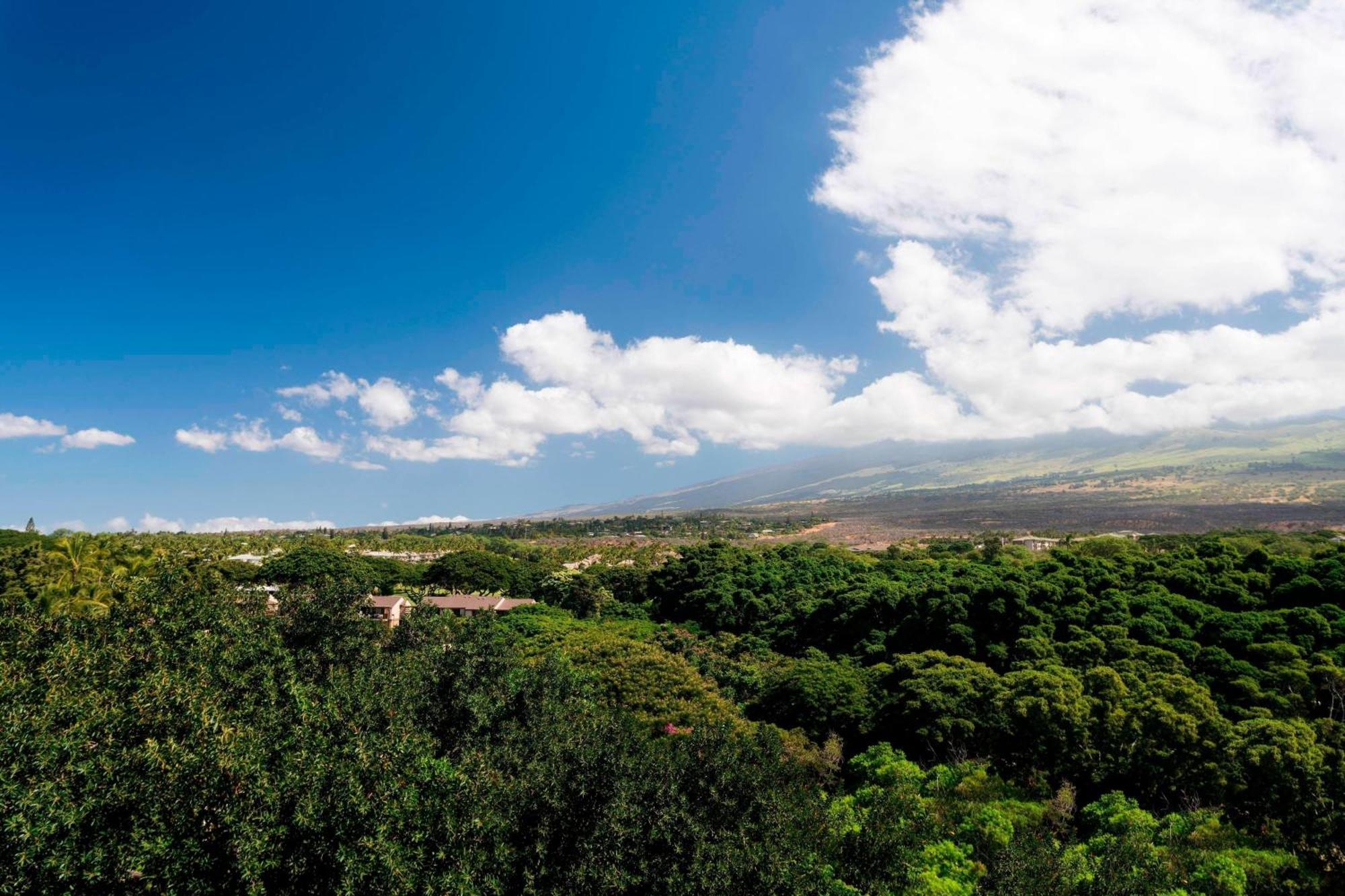 Wailea - Marriott, Maui Resort 5*