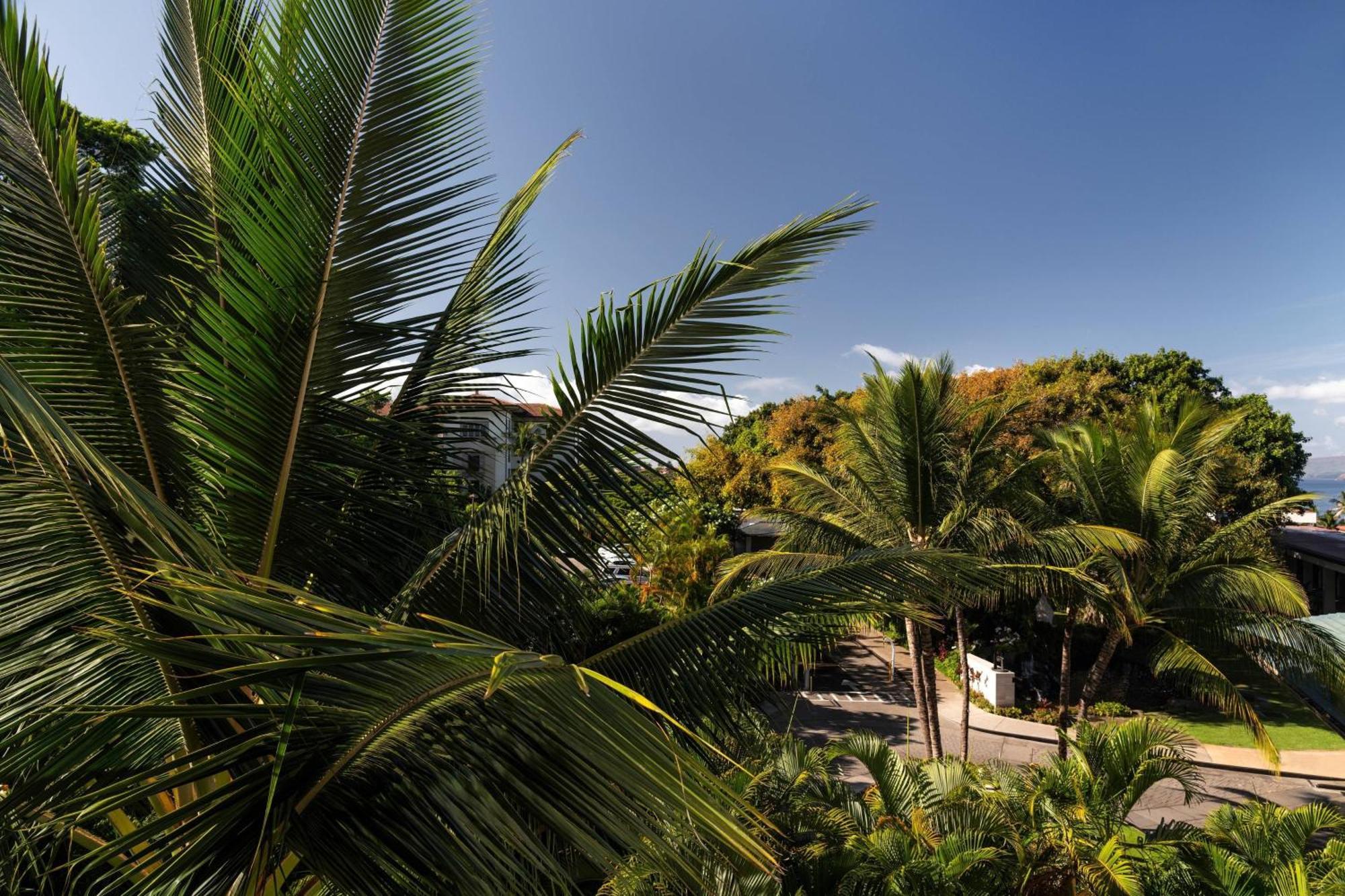 Wailea - Marriott, Maui