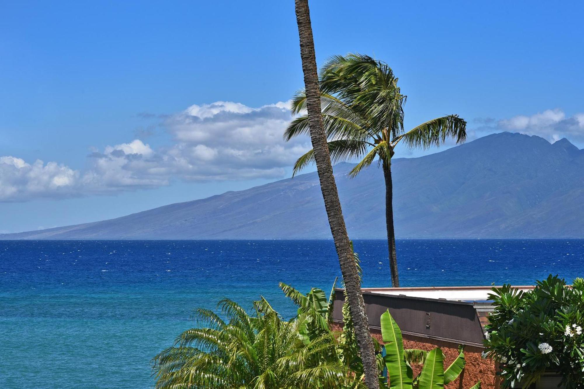 Oceanfront Kuleana Special!!!
