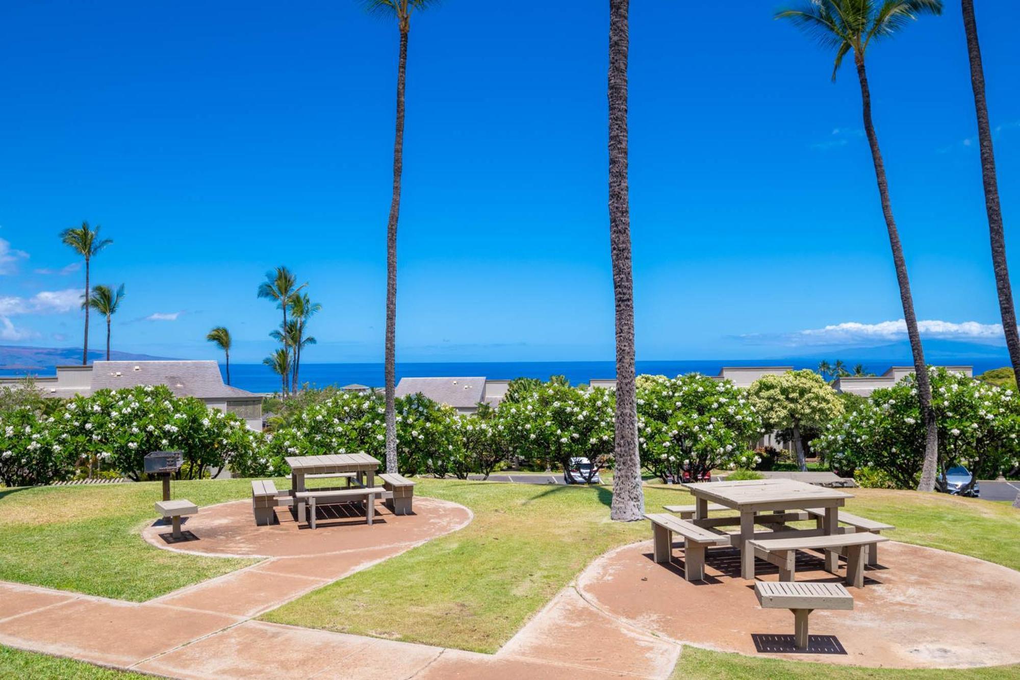 Ekolu 1606 Wailea (Maui)