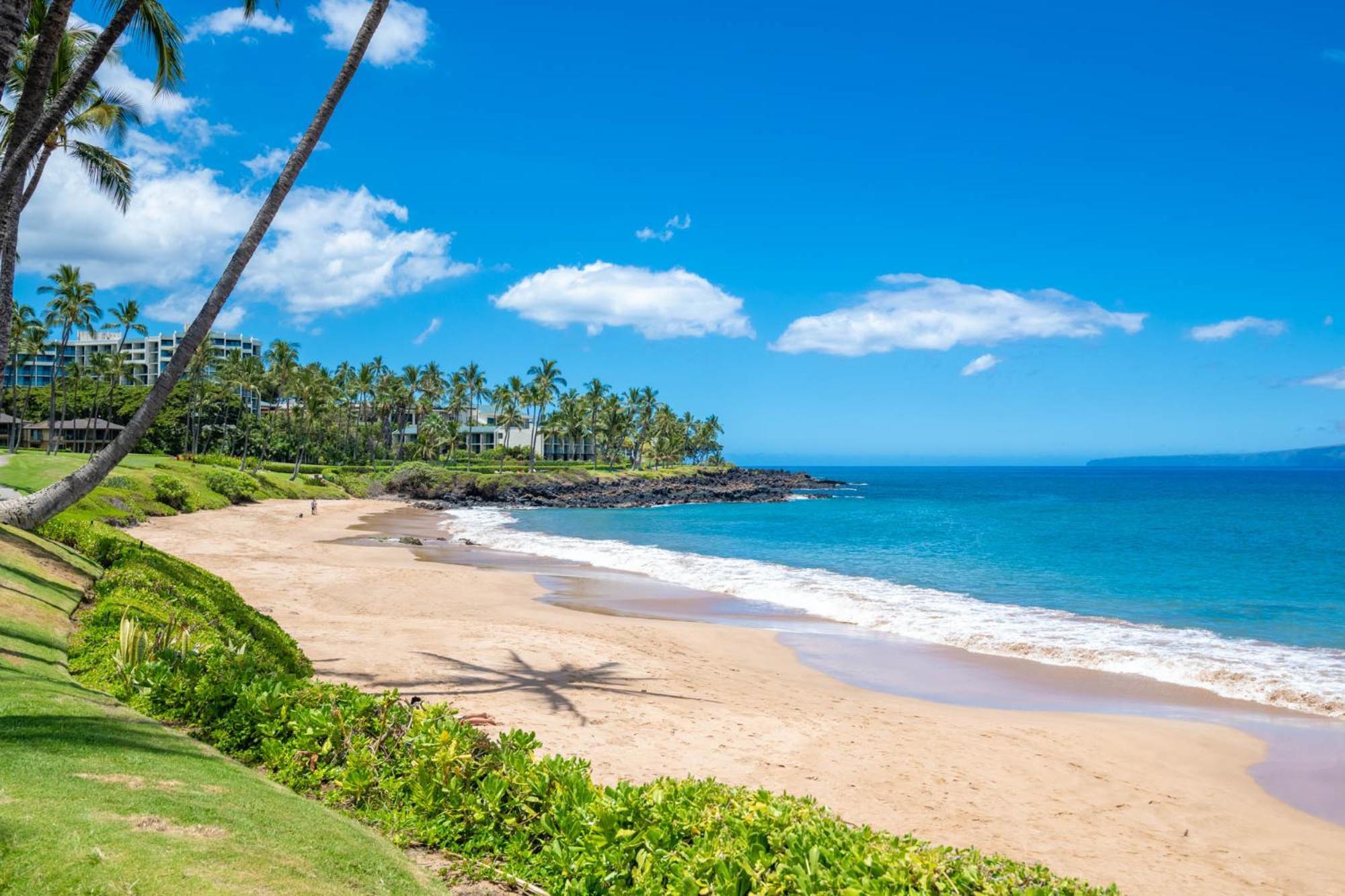 Ekolu 1606 * Wailea (Maui)
