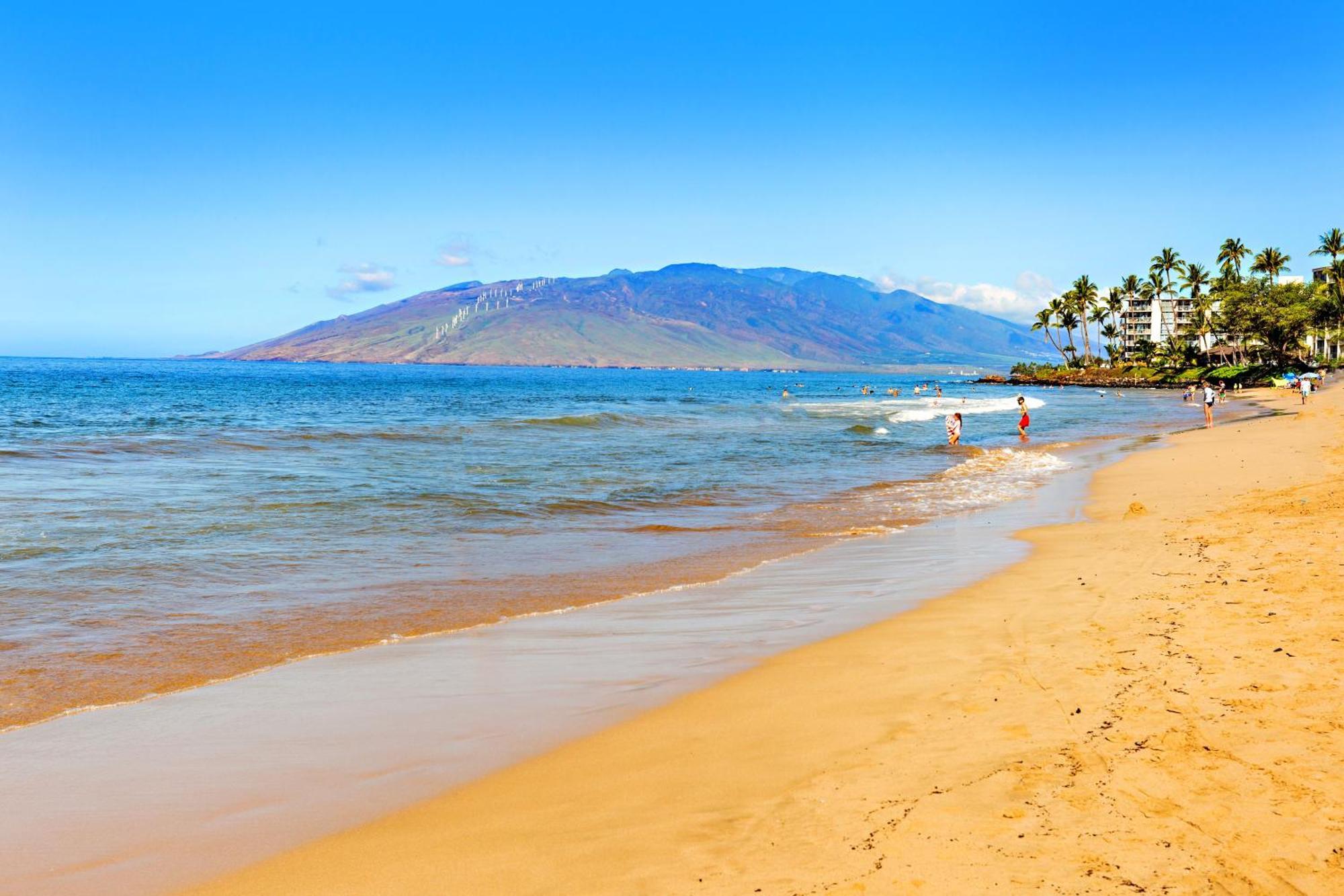 Ob - Maui Banyan P409