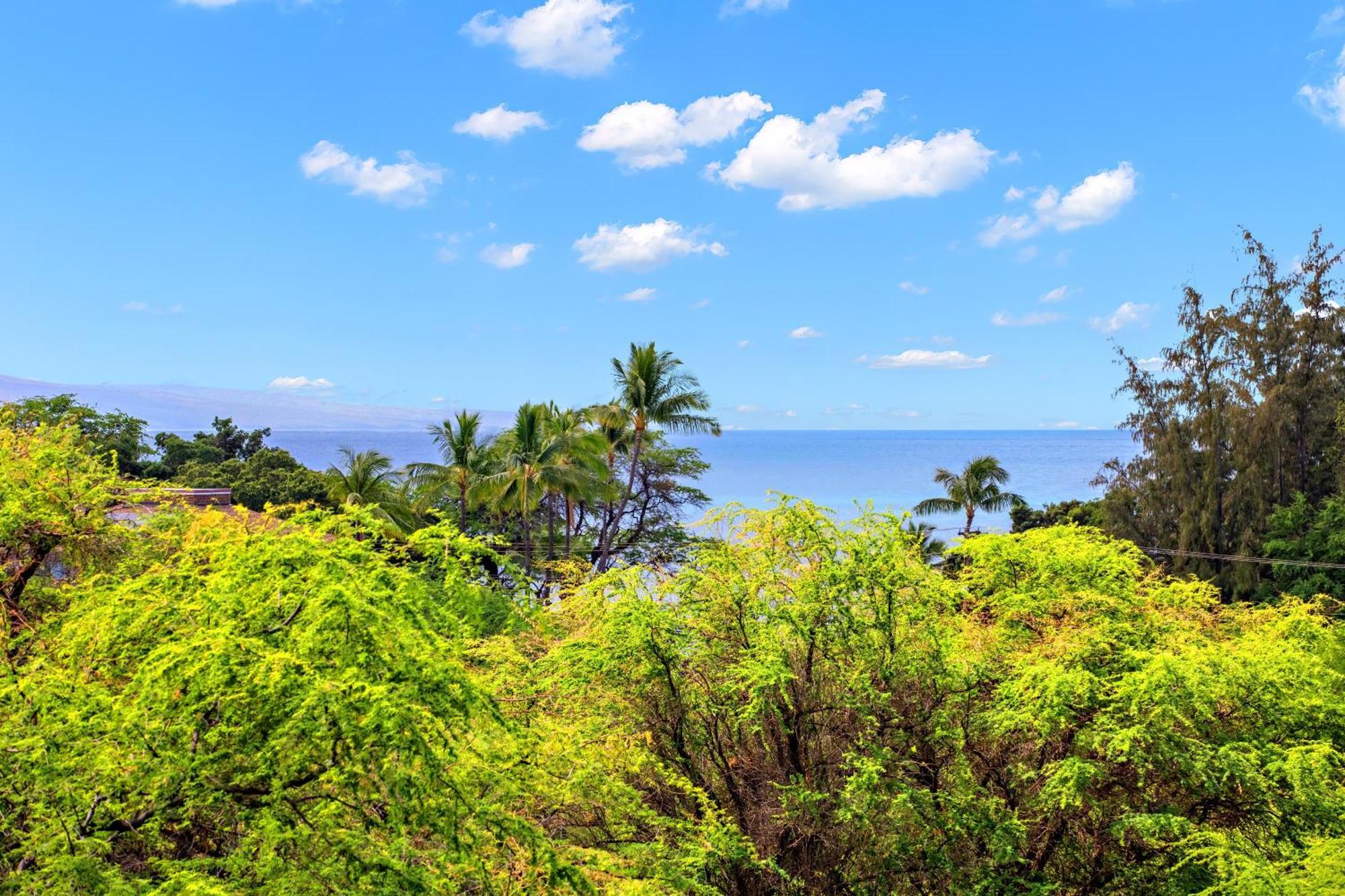Ob - Maui Banyan P409 Holiday home Wailea (Maui)