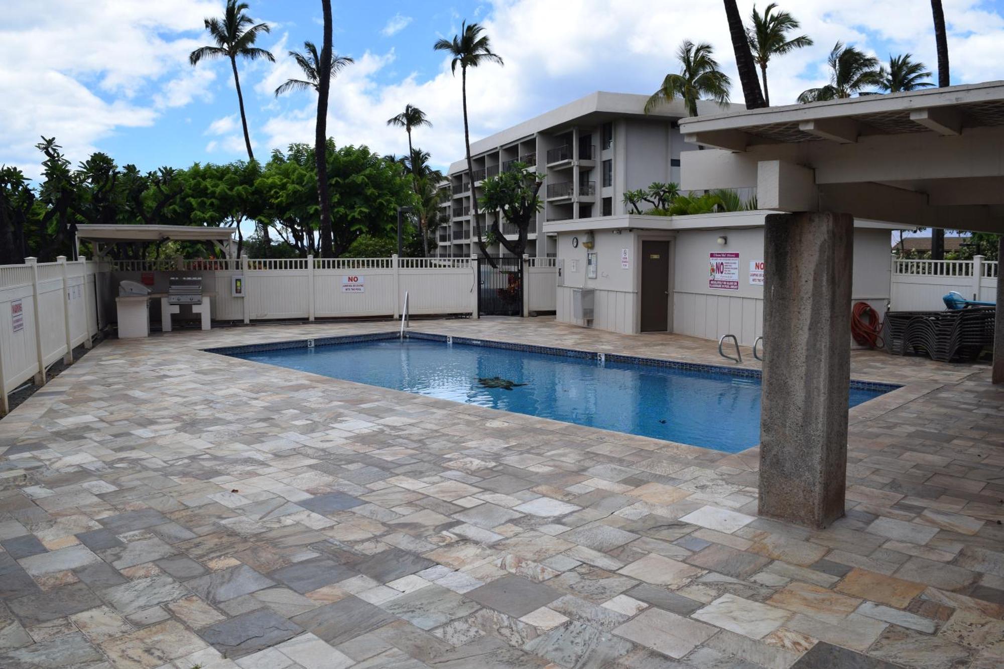 Apartment Ground Floor Garden View Unit With Great Amenities