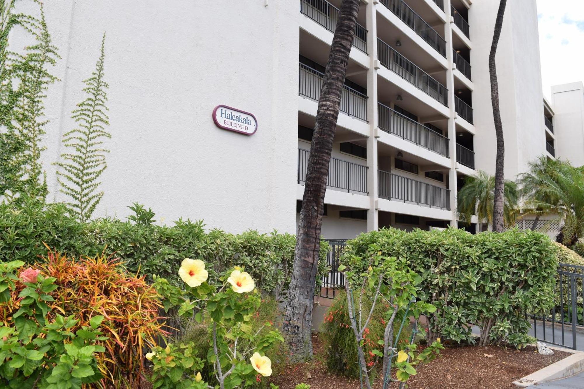 Ground Floor Garden View Unit With Great Amenities Apartment