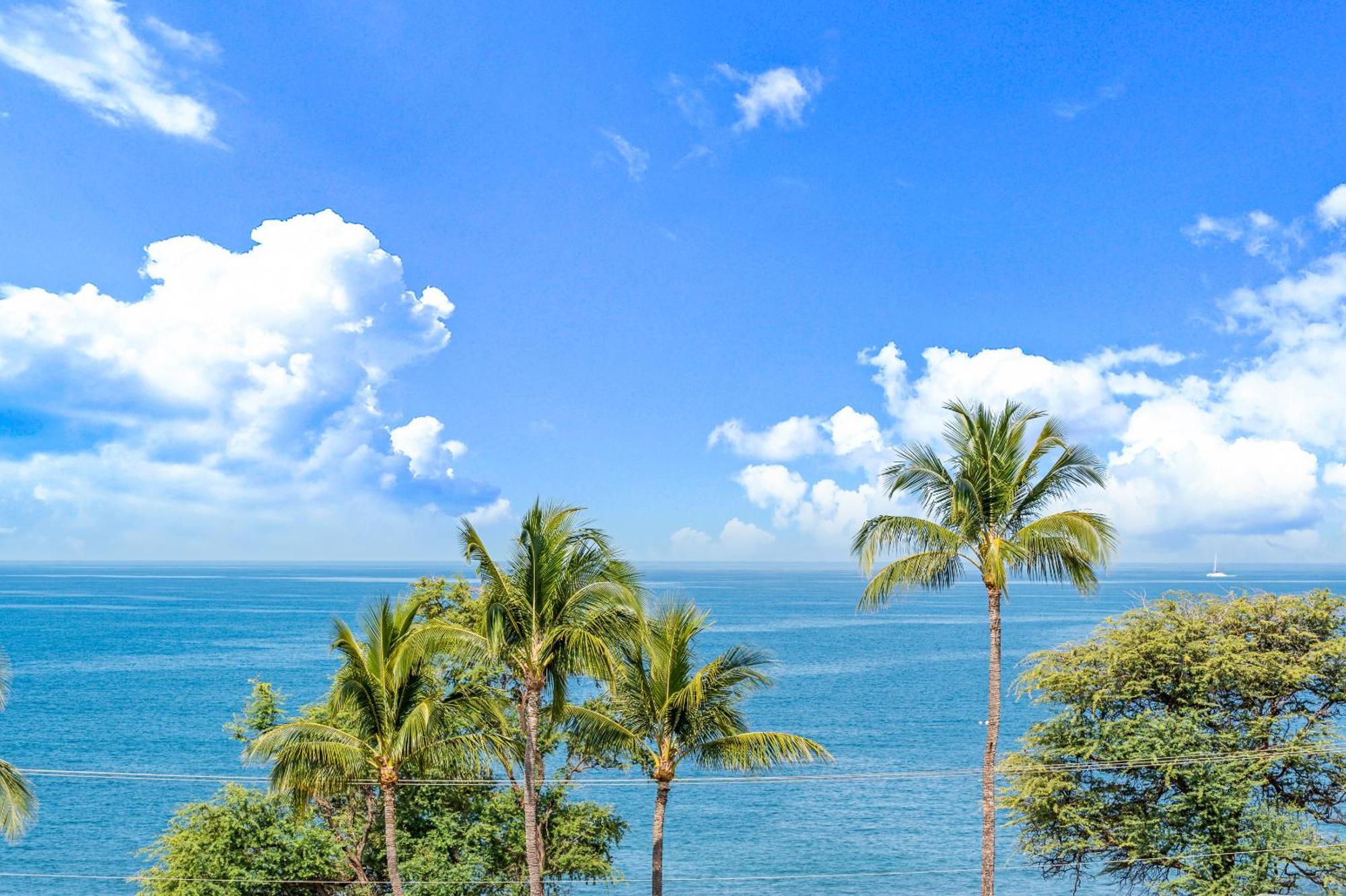 Stunning Ocean View 2 Bedroom Steps From Holiday home Kihei