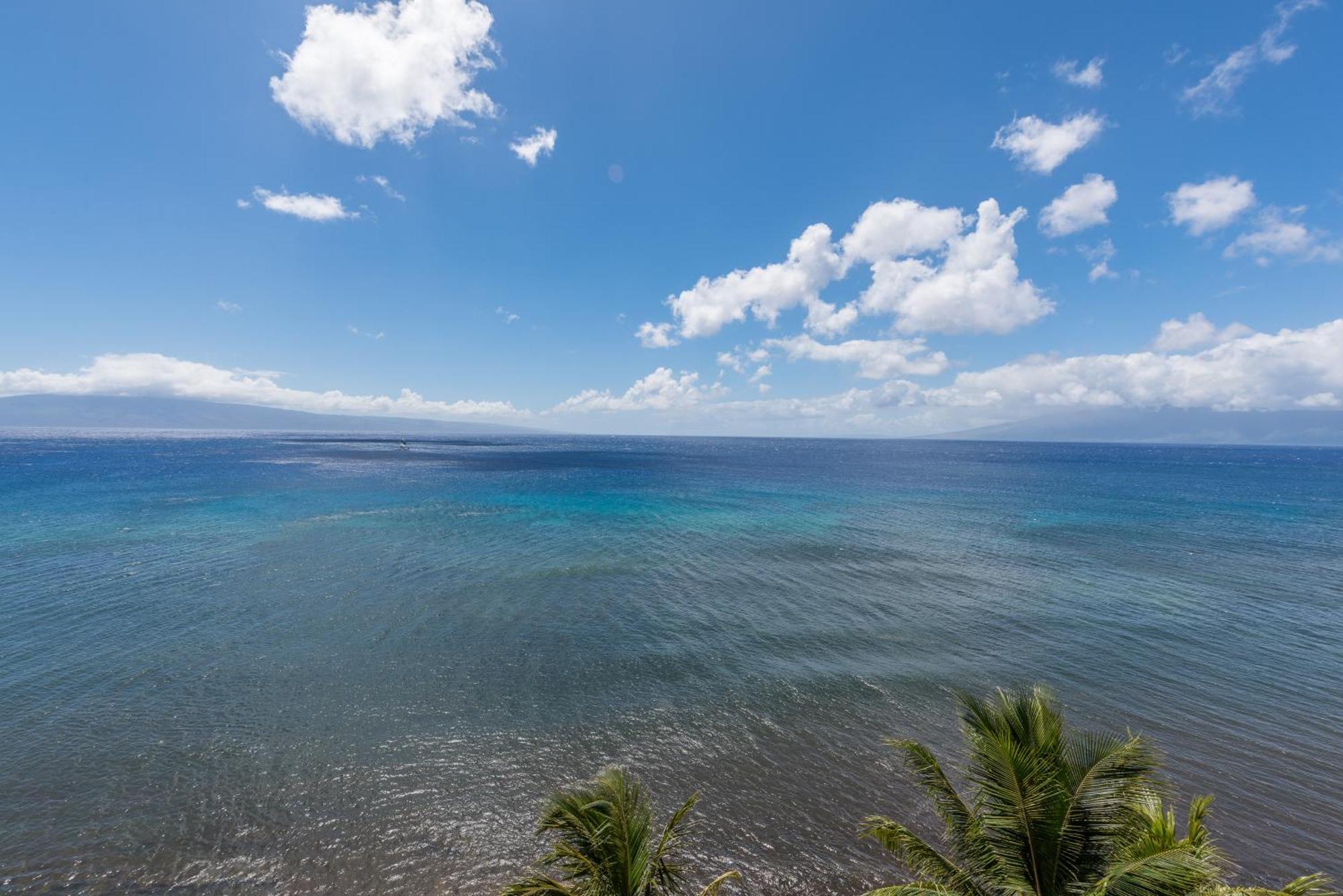 The Mahana