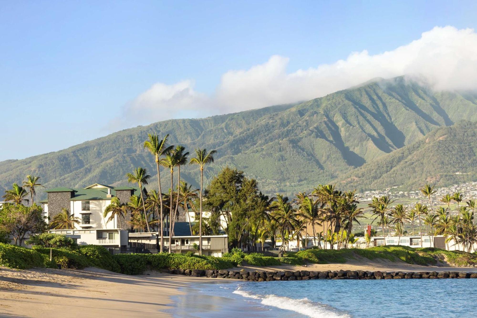 Hampton & Maui North Shore 3*