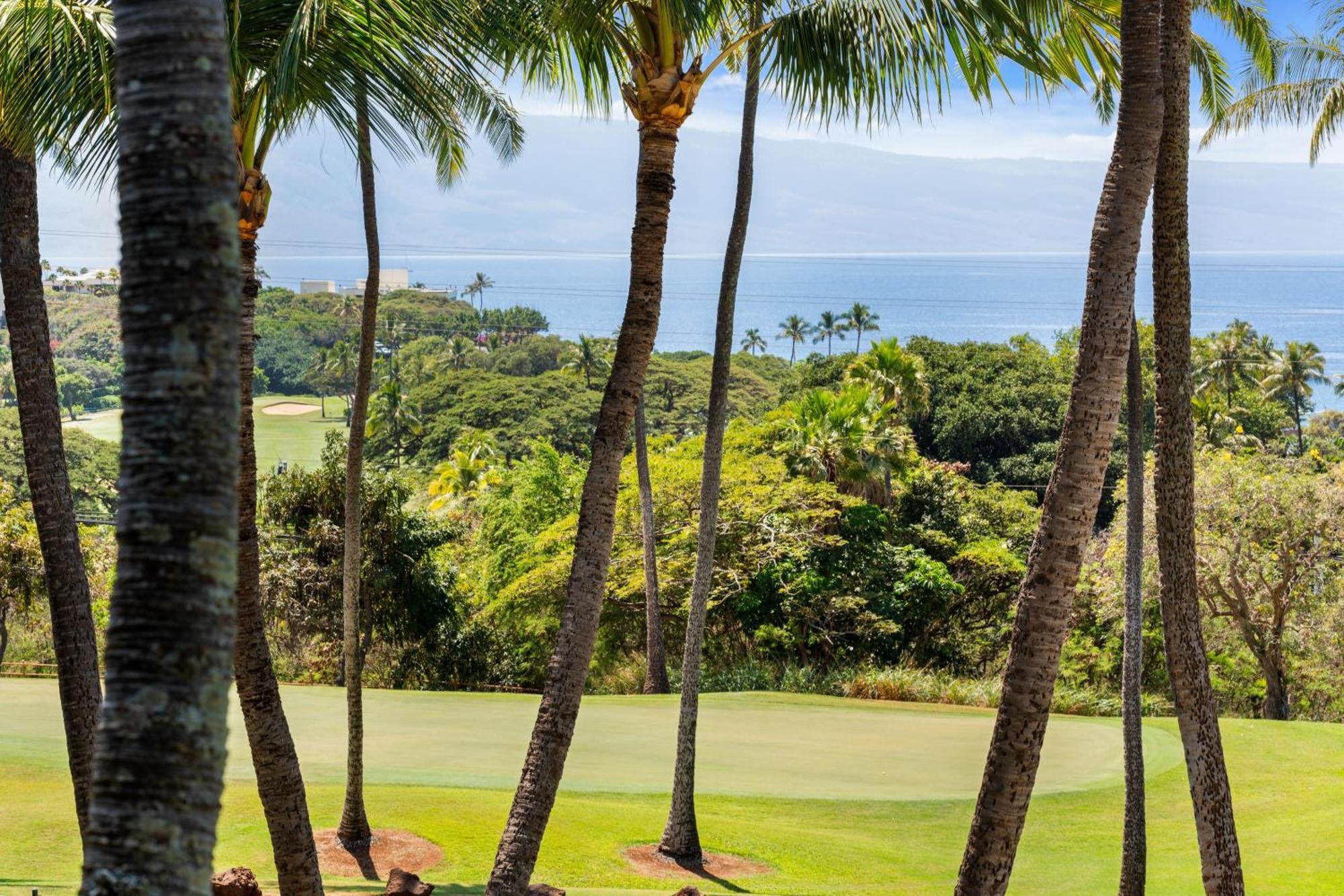 Hale Kalapu Holiday home Kaanapali