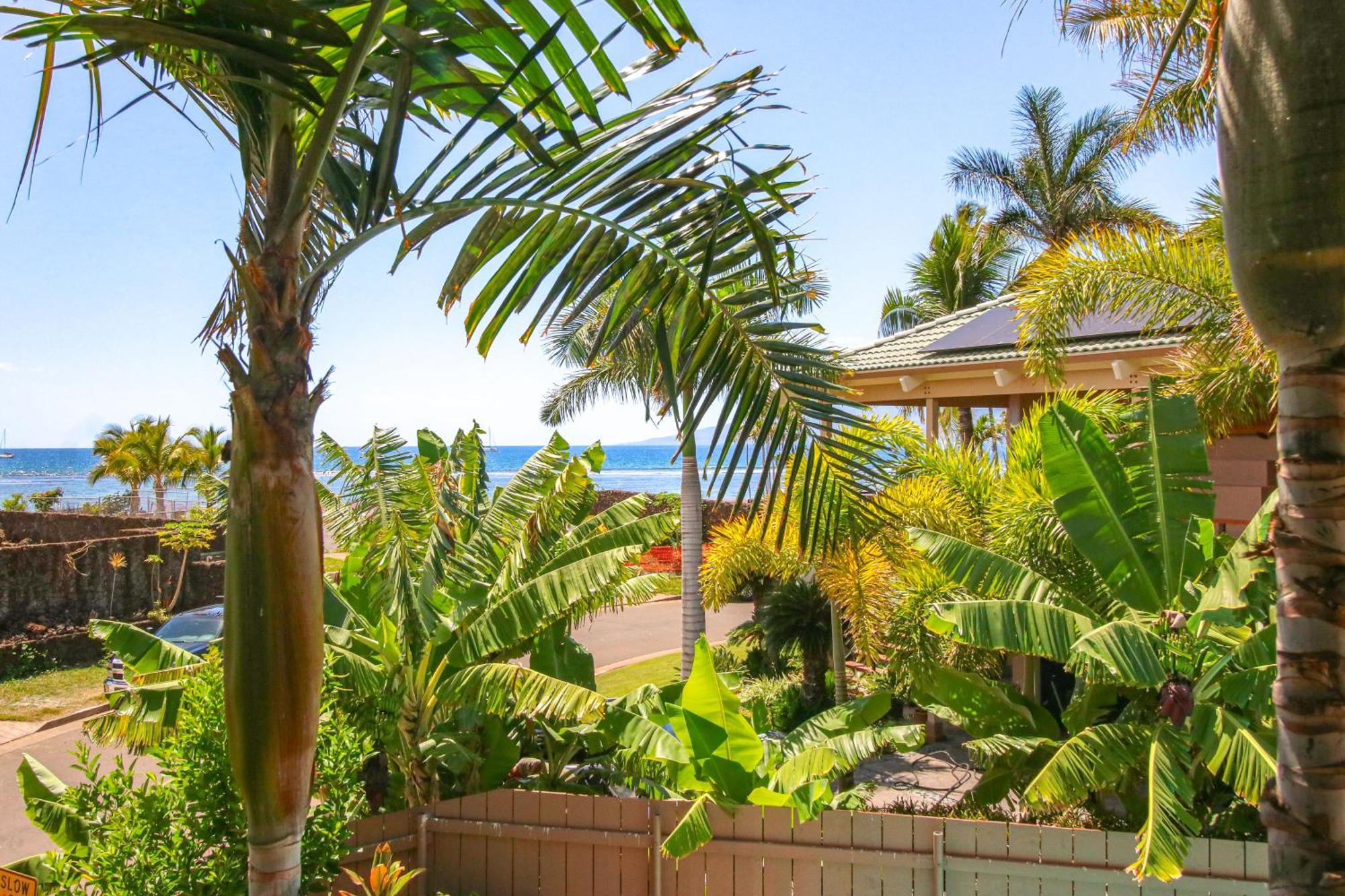 Walk To Baby With Private Pool! Lahaina