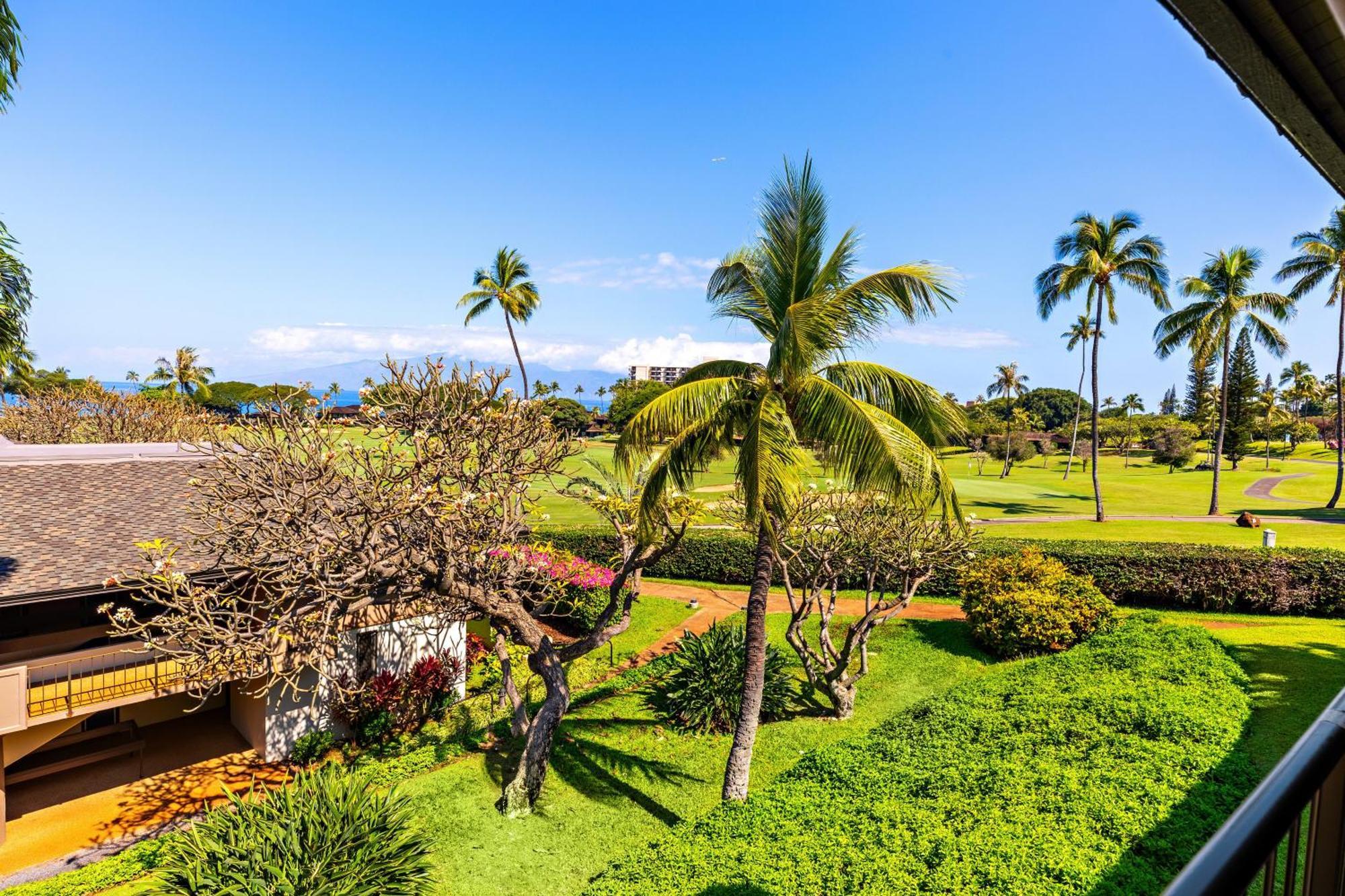 Maui Eldorado K211 *