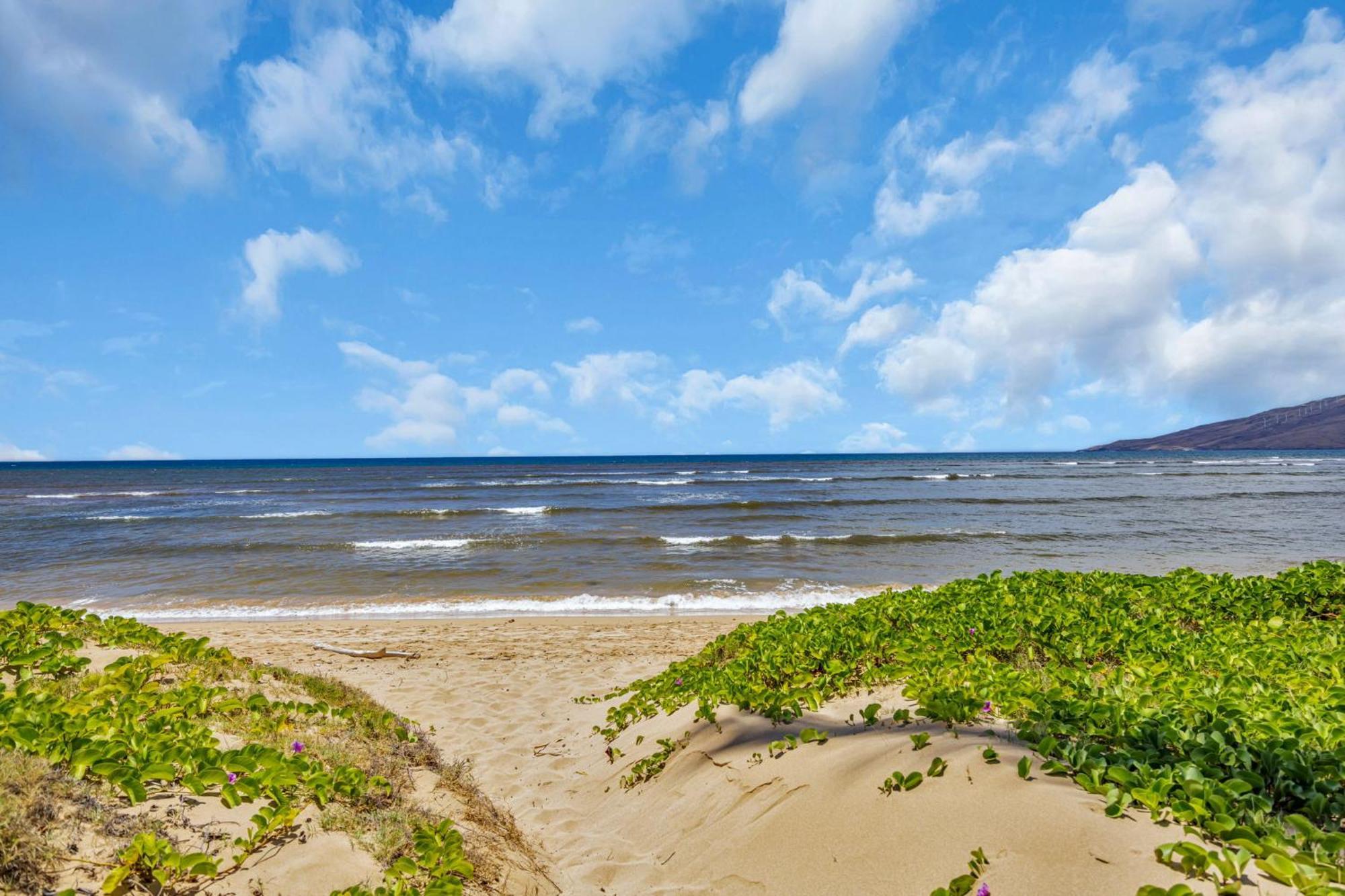 Hale Kai O'kihei 118 Holiday home