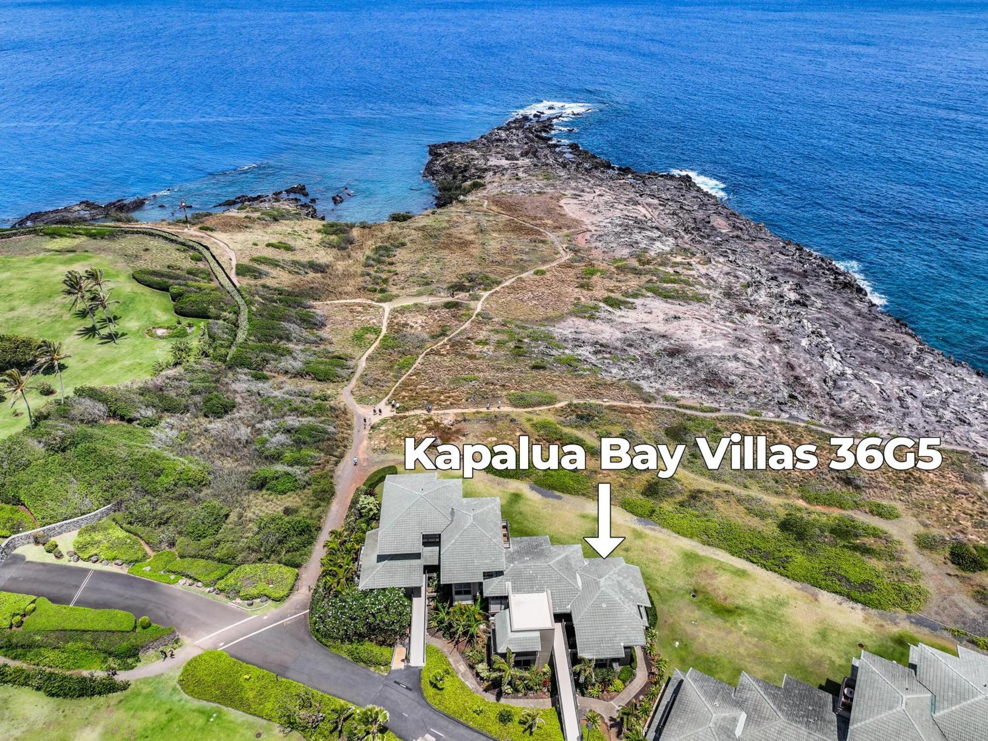 Holiday home Kapalua Bay 36g5 Kahana