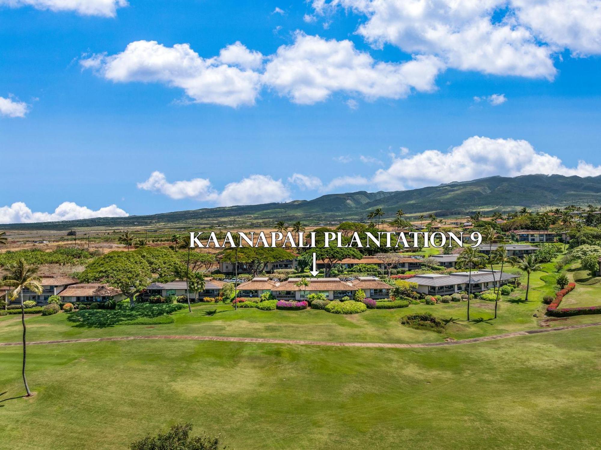 Holiday home Kaanapali Plantation 9 *