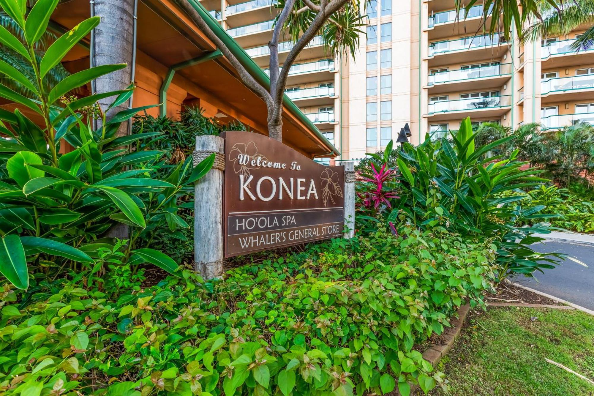 Extra Large 1br Luxury With Massive Outdoor Space & Balcony *