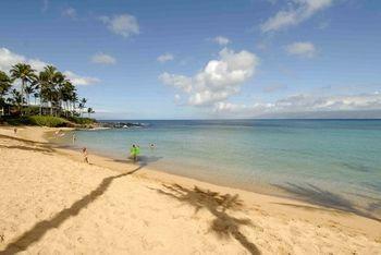 Napili Sunset Front Aparthotel Lahaina