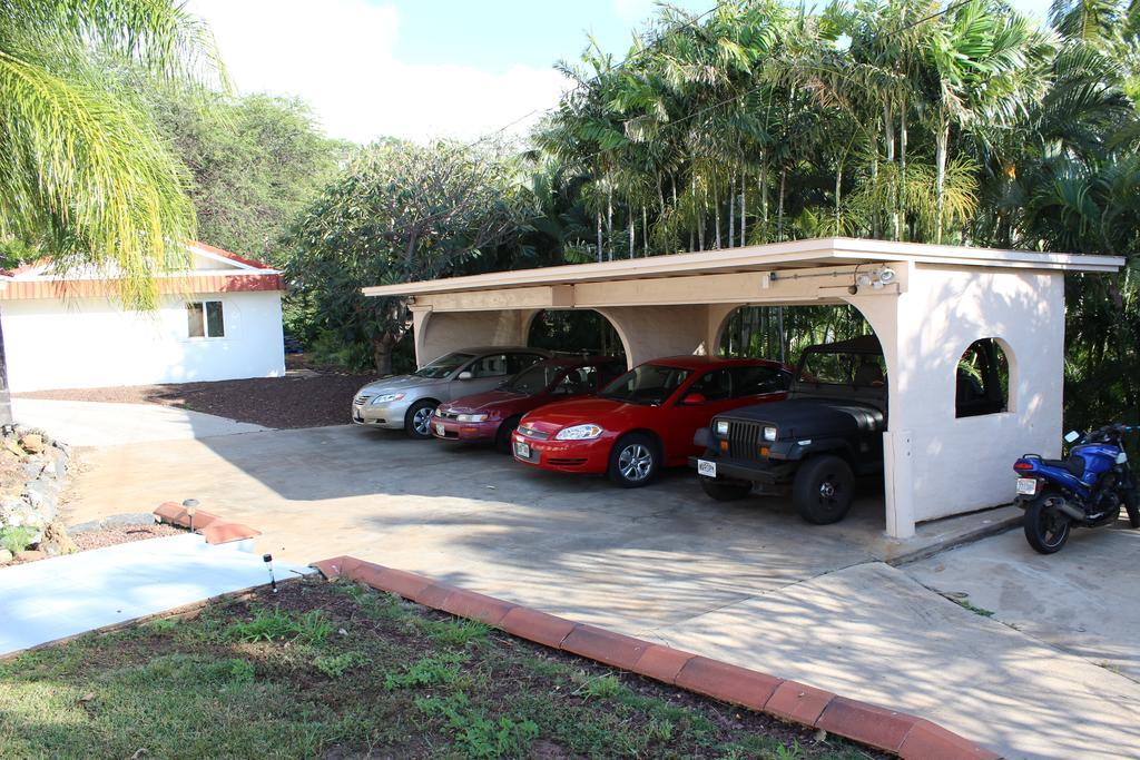 Jasmine House Bed & Breakfast