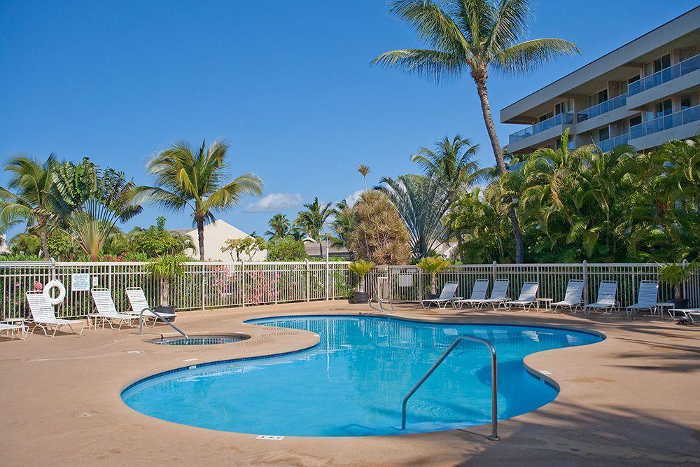 Maui Banyan - Maui & Kihei