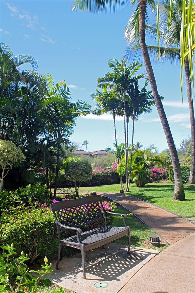 Maui Banyan - Maui & Hotel Kihei