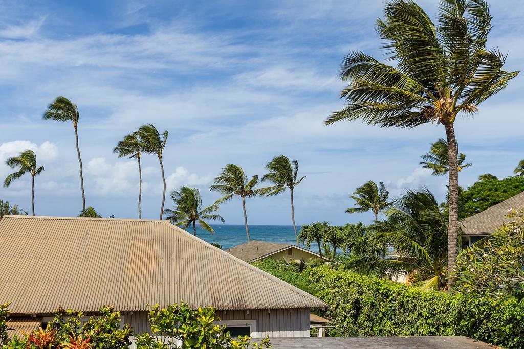 Nalu Kai * Paia