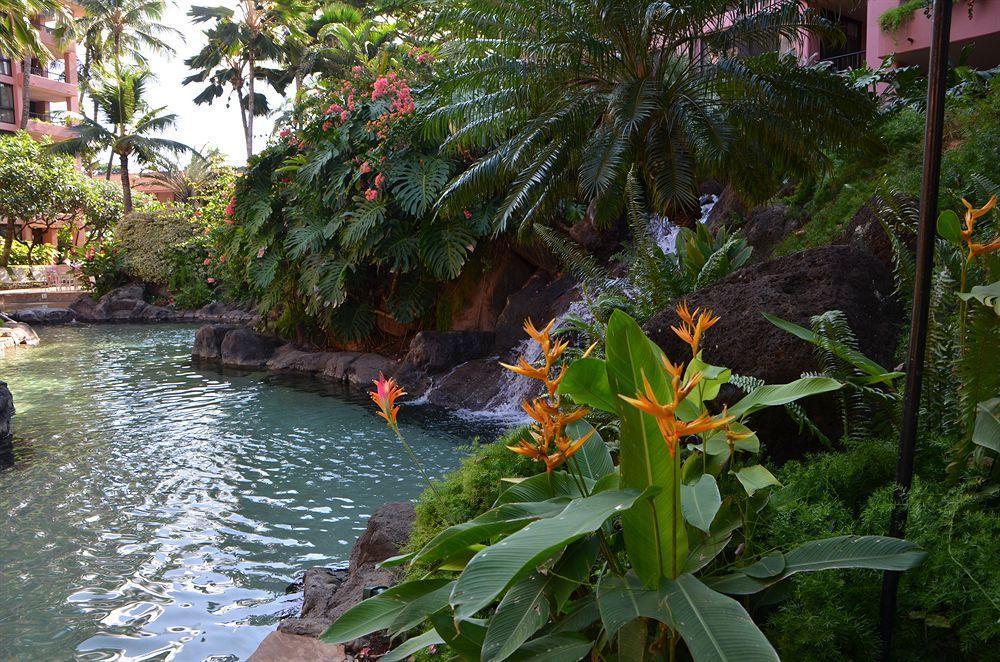 Resort Kahana Falls