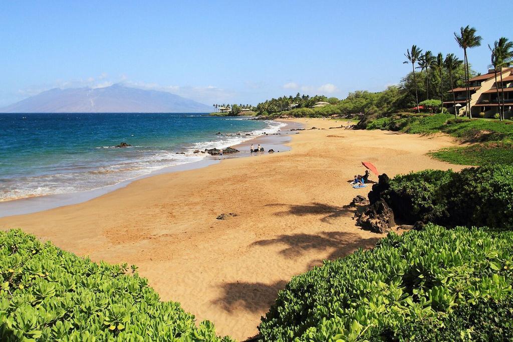 Makena Surf- Coraltree Collection