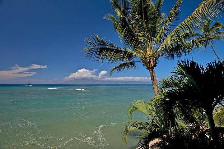 Apartment Pohailani #201 Kahana