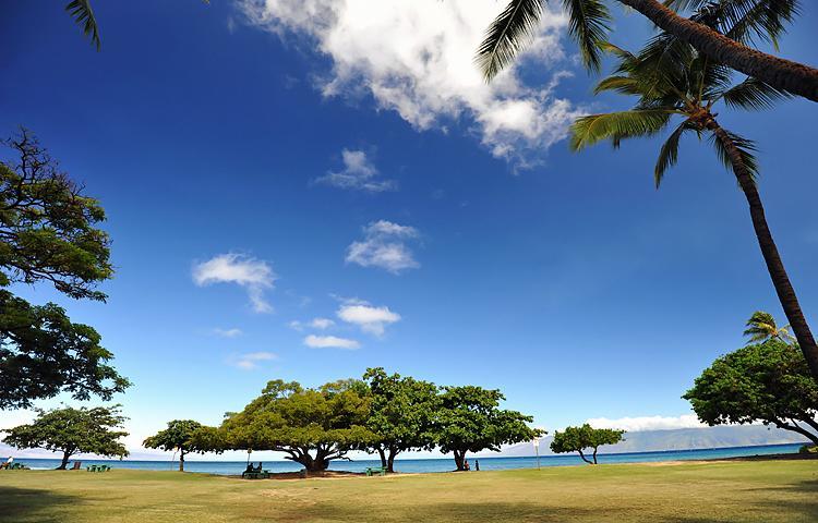 Apartment Exquisite Honokowai Palms Unit #a-7 Kahana