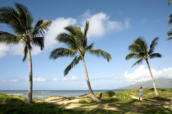 Apartment Hale Kai O