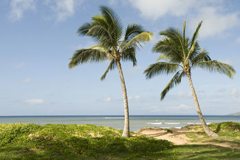 Hale Kai O Apartment