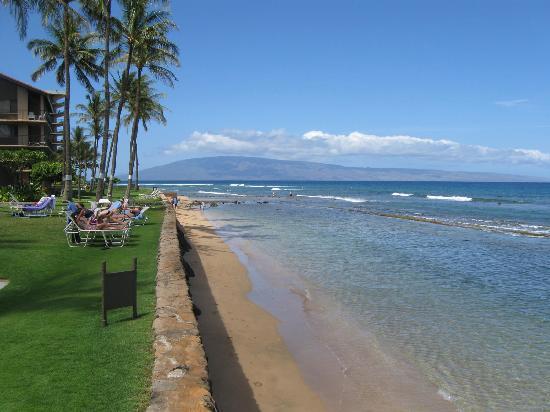 Papakea #h401 Lahaina