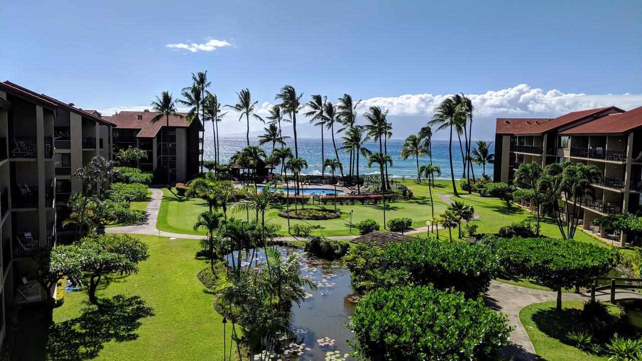 Papakea #h401