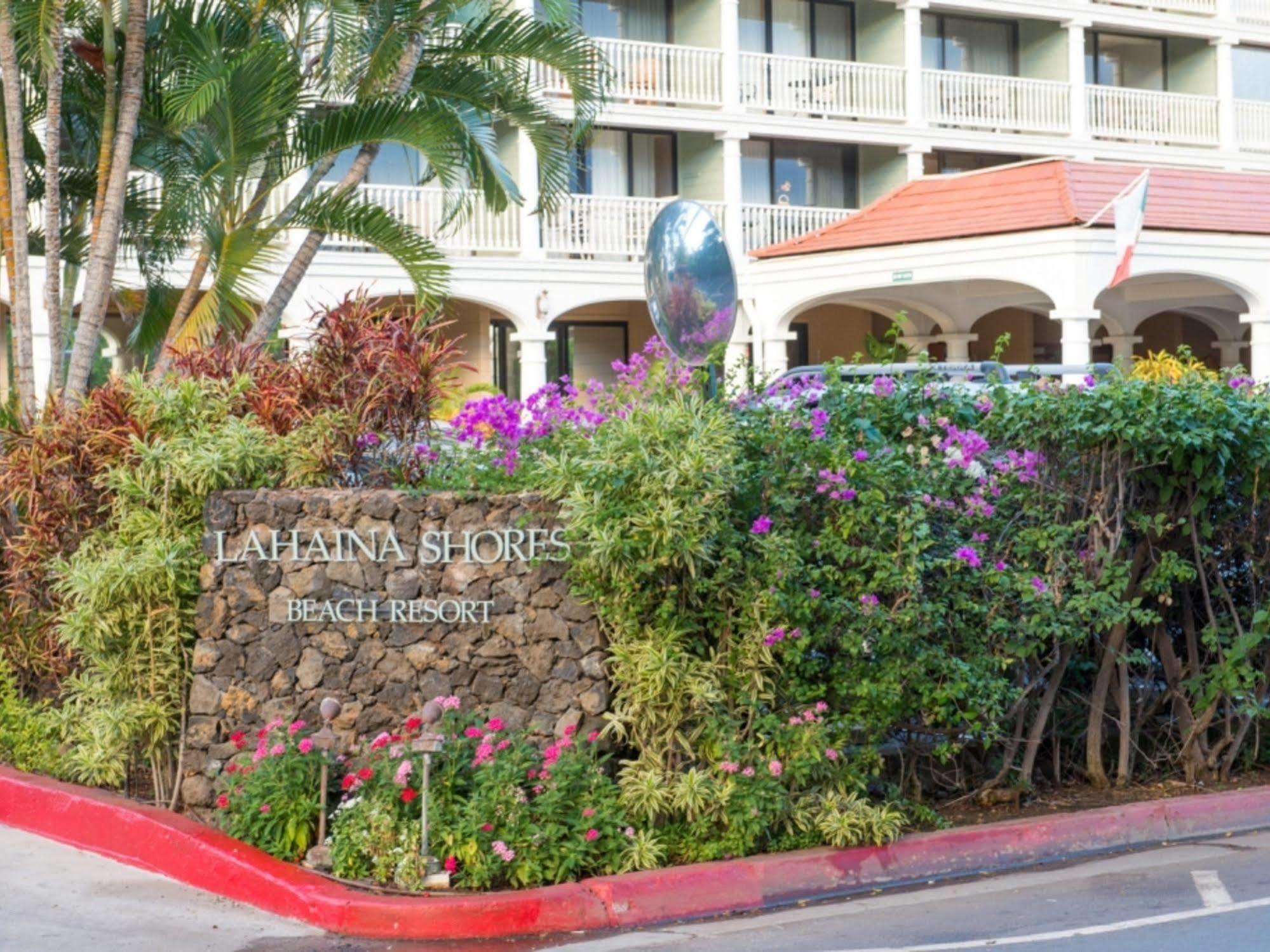 Shores Apartment