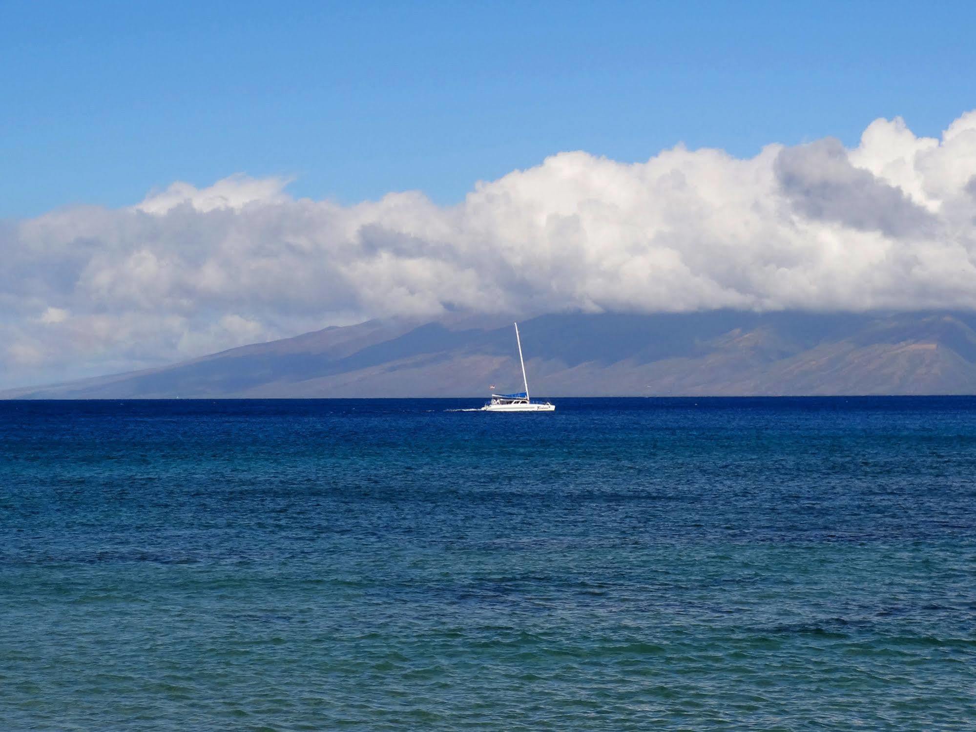 Kaleialoha