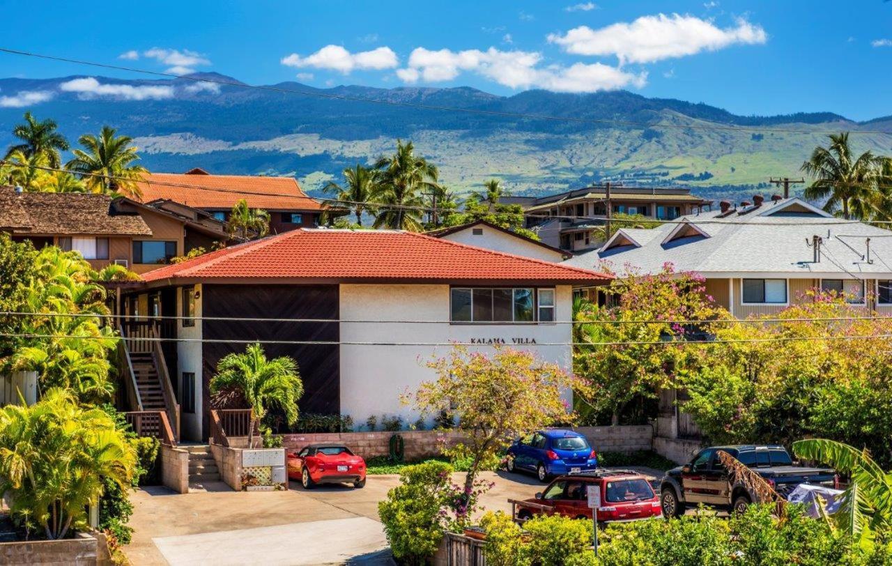 Apartment Kalama Terrace P309 Kihei