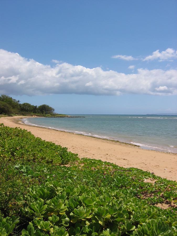 Holiday home Hale Kai O'kihei 118 Kihei
