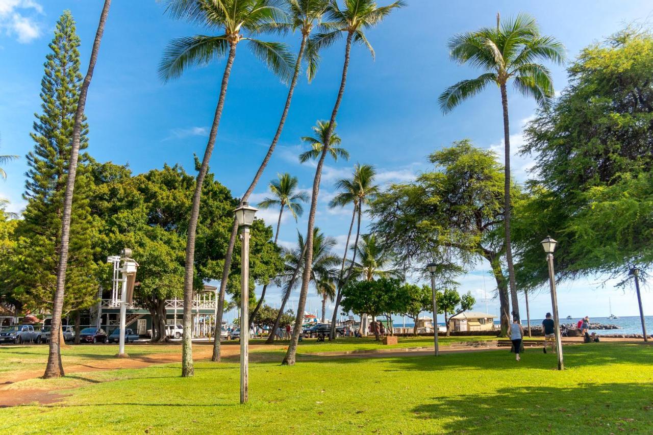 Paki Maui Napili-Honokowai