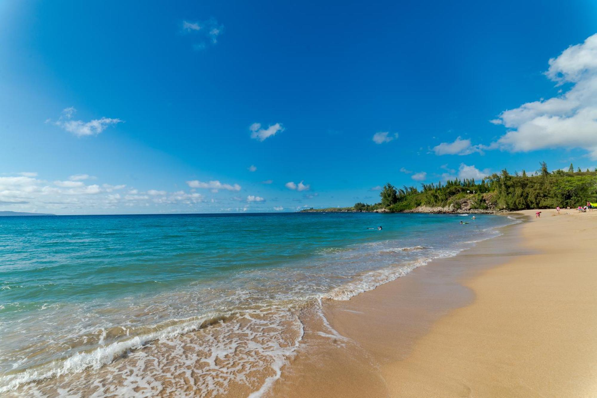 Paki Maui Napili-Honokowai