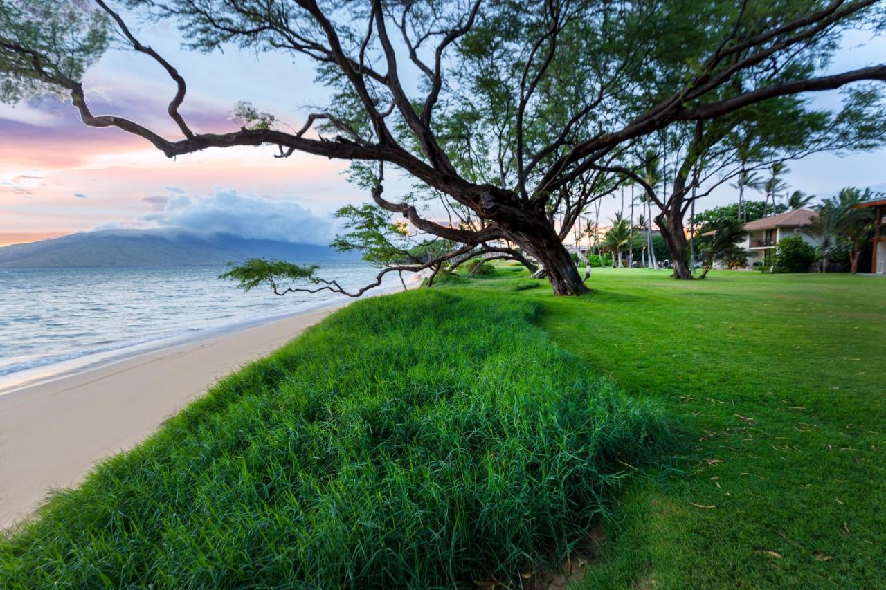Waiohuli Beach Hale #208 Kihei
