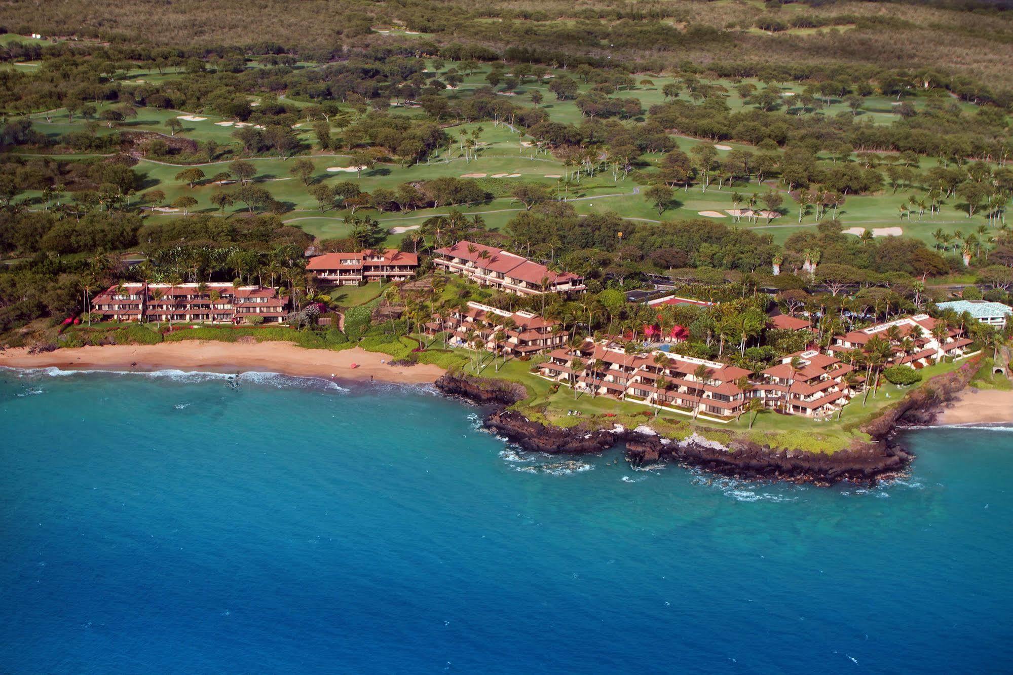 Makena Surf- Coraltree Collection