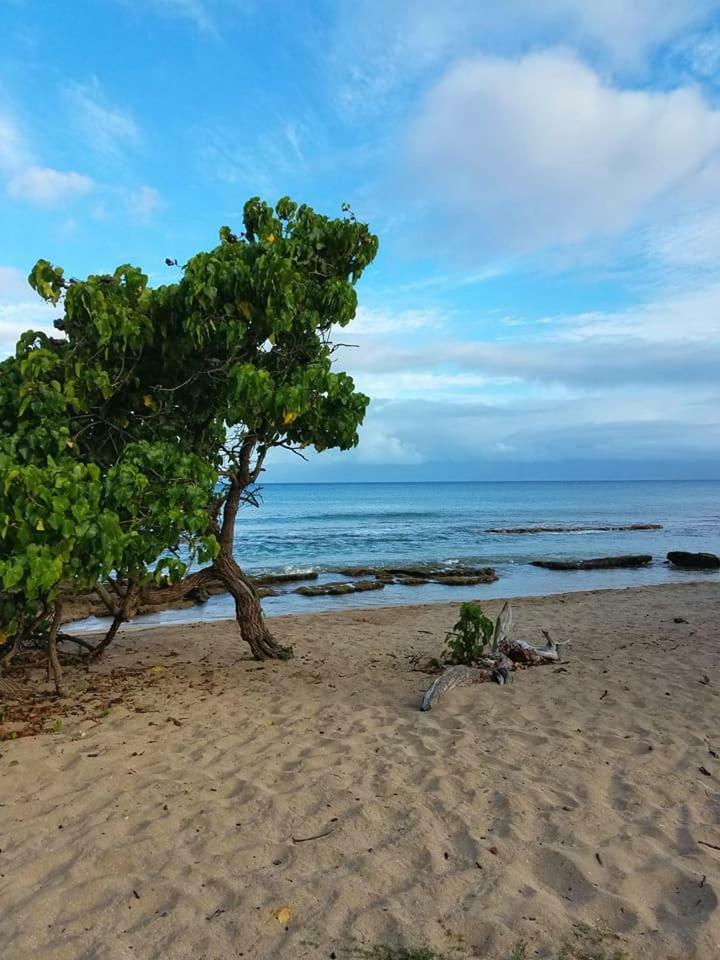 Wonderful 3* Lahaina