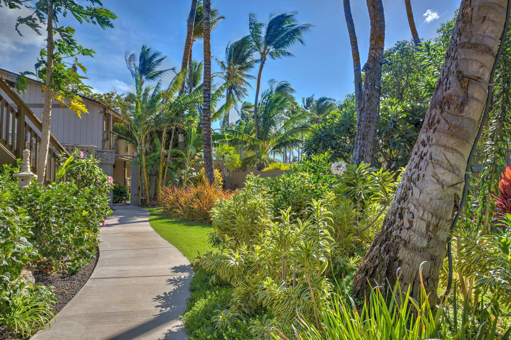 Hotel Kohea Kai Maui Kihei