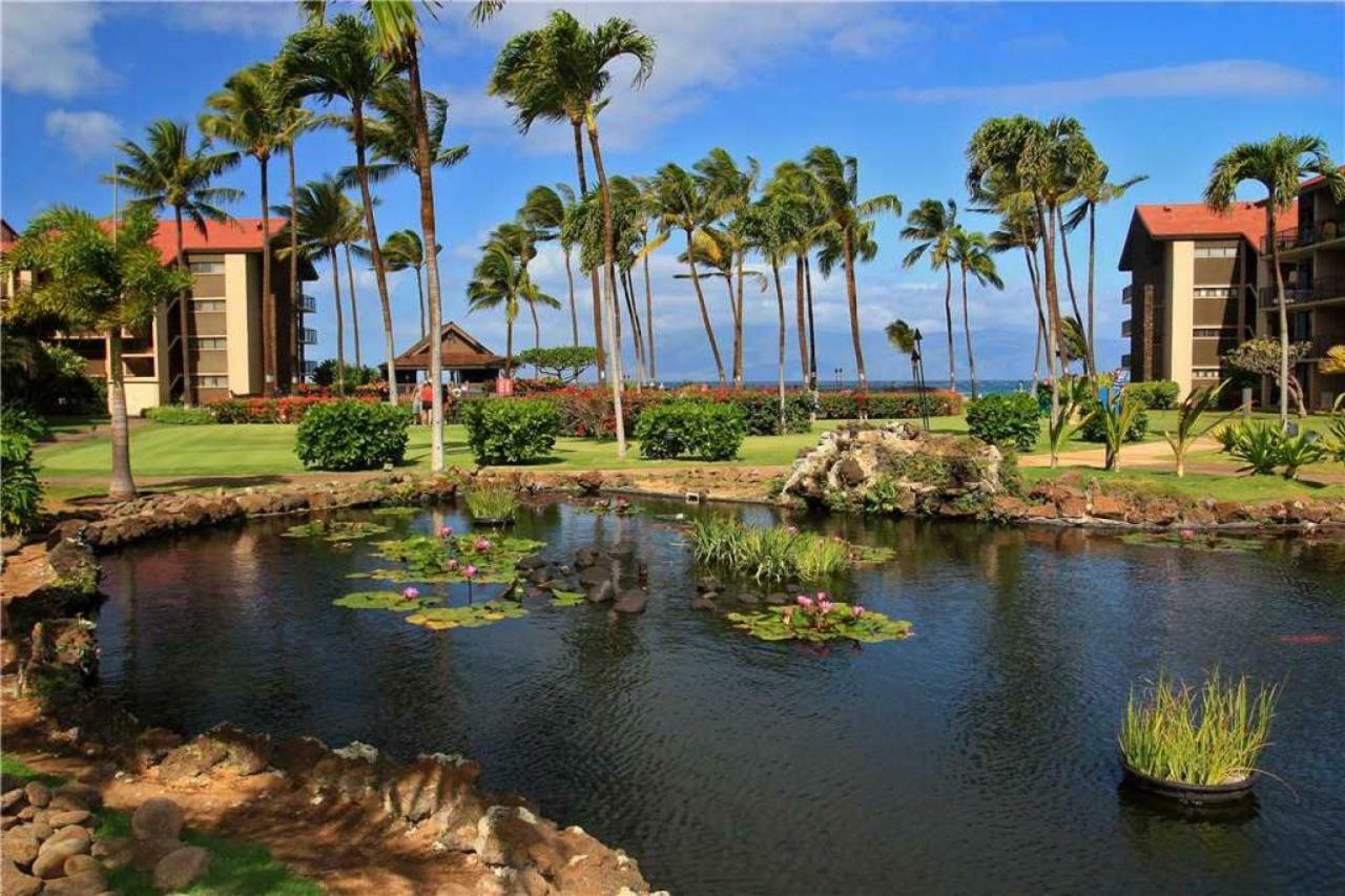 3 Bedroom Ocean View In North Kaanapali - Sleeps 8 - Papakea #d402 Napili-Honokowai